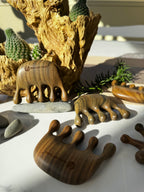 5-Tooth Sandalwood Pocket Meridian Comb